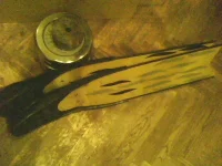 IMG0048A.webp