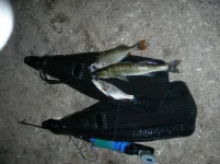 DSCN8853.webp