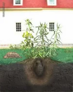 наркота.webp