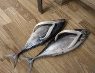 прикол.jpg1 (3).webp