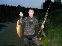 карпик.webp