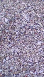 IMG0037A.webp IMG0037A.webp