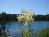 02-03.07.10 001.webp