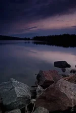 IMGP3837.webp
