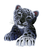1910496000003d67065f27140e114d4ccdfcb939dd.gif