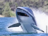 Innespace.webp