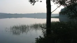 10.webp