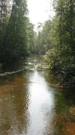 14.webp