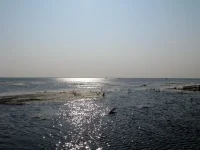 24_IMG_3376_новый размер.webp