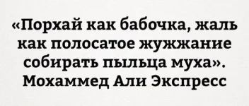 8783788.webp