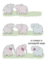 8783800.webp