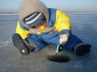 image (2)-Р.webp