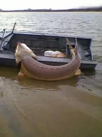 image (10).webp
