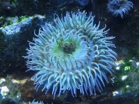 0_5efcb_45ed9c5e_XL.webp