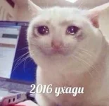 Ю.webp