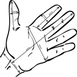 рука.webp