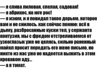 9060555.webp