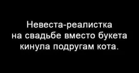 FB_IMG_1484408515506.webp