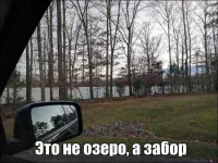 foto-prikoly-13012017-055-Д.webp