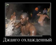 9102917.webp