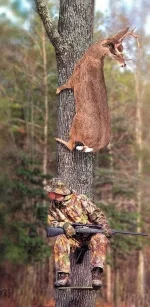 FB_IMG_1485075829528.webp