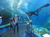 FB_IMG_1485326902949.webp