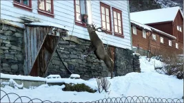 foto-27012017-041-Д.webp