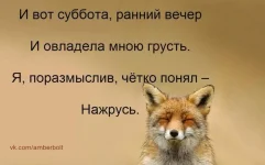 2610390190.webp