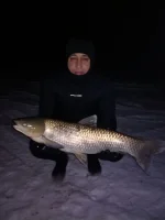 2017-02-16 01-13-48.webp