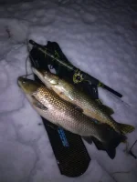 2017-02-18 03-49-13.webp