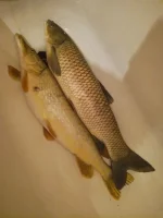 2017-02-18 05-48-34.webp