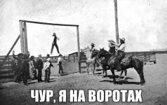 9376797.webp
