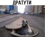 FB_IMG_1489400822791.webp
