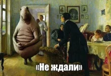 111.webp