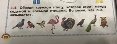17458229_1350952401617816_3487241606920332859_n.webp