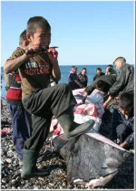 60e04_chukotka137.webp