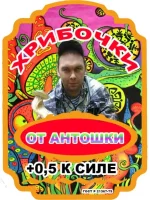 346345.webp