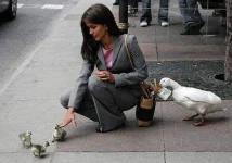 FB_IMG_1492179275381.webp