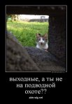 FB_IMG_1492251603485.jpg