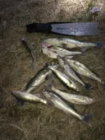 IMG_5824-18-04-17-5_19.webp