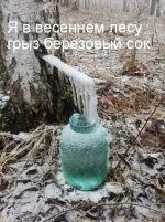 FB_IMG_1492746162654.webp
