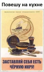 SB5VpwNMZ3A-Д.webp
