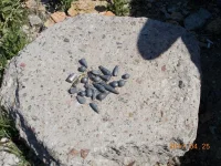 DSCN1349.webp