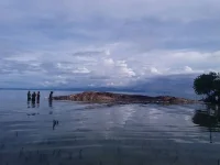 y45y65y6t_m404.webp