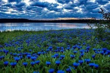 FB_IMG_1495292272570.webp