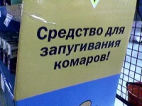 9753919.webp