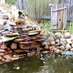 IMG-67f12a71ef78743741e5ad2735783fe3-V.webp