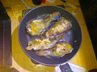 IMG-20170601-WA0020.webp
