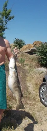 DSCN1368.webp