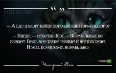 13_19.webp